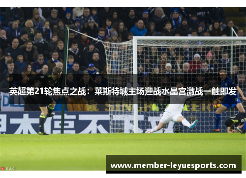 英超第21轮焦点之战:莱斯特城主场迎战水晶宫激战一触即发 英超第21轮焦点之战:莱斯特城主场迎战水晶宫激战一触即发
