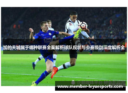 加的夫城属于哪种联赛全面解析球队现状与参赛级别深度解析全