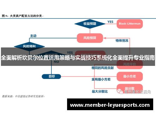 全面解析坎贝尔位置运用策略与实战技巧系统化全面提升专业指南