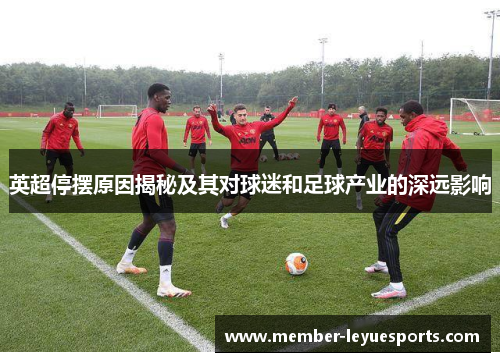 英超停摆原因揭秘及其对球迷和足球产业的深远影响