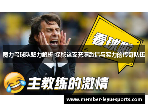 魔力鸟球队魅力解析 探秘这支充满激情与实力的传奇队伍