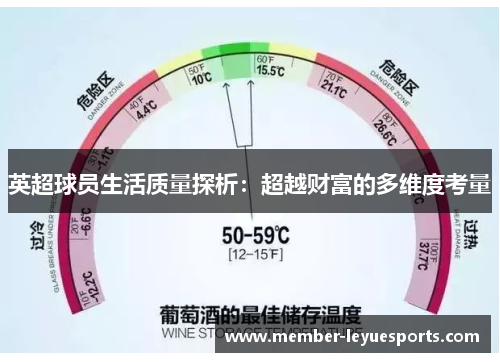 英超球员生活质量探析：超越财富的多维度考量