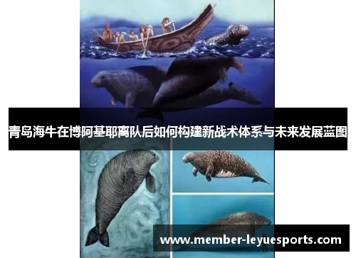 青岛海牛在博阿基耶离队后如何构建新战术体系与未来发展蓝图