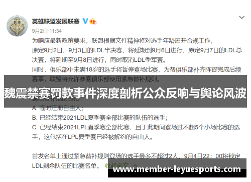 魏震禁赛罚款事件深度剖析公众反响与舆论风波