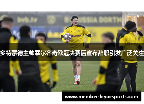 多特蒙德主帅泰尔齐奇欧冠决赛后宣布辞职引发广泛关注 多特蒙德主帅泰尔齐奇欧冠决赛后宣布辞职引发广泛关注